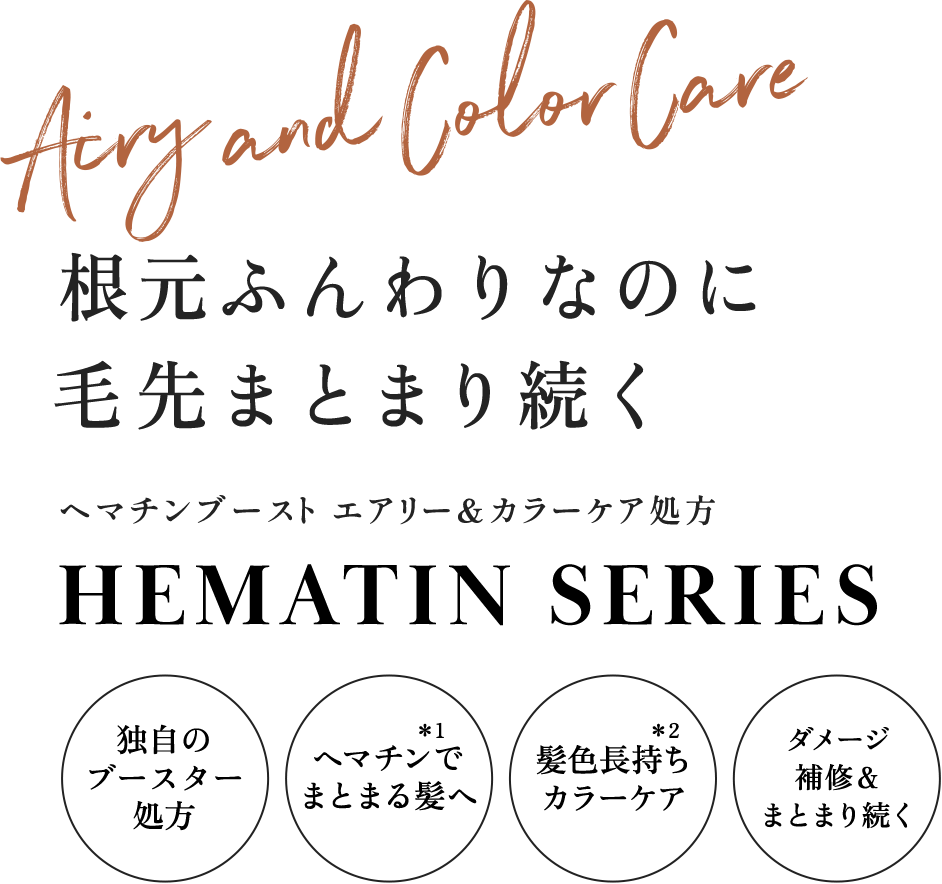 HEMATIN SERIES 根元ふんわりなのに 毛先まとまり続く